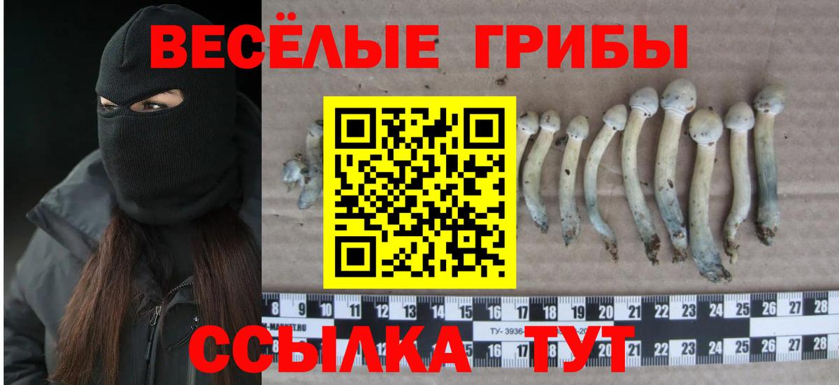 Елизово  Псилоцибиновые грибы Magic Shrooms  Вход с VPN 