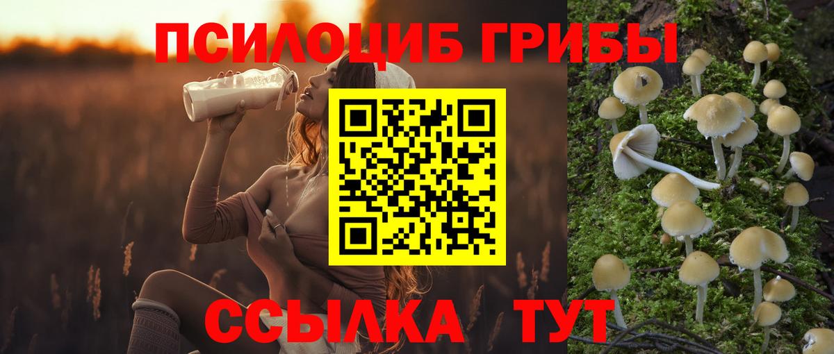 Галлюциногенные грибы GOLDEN TEACHER Елизово